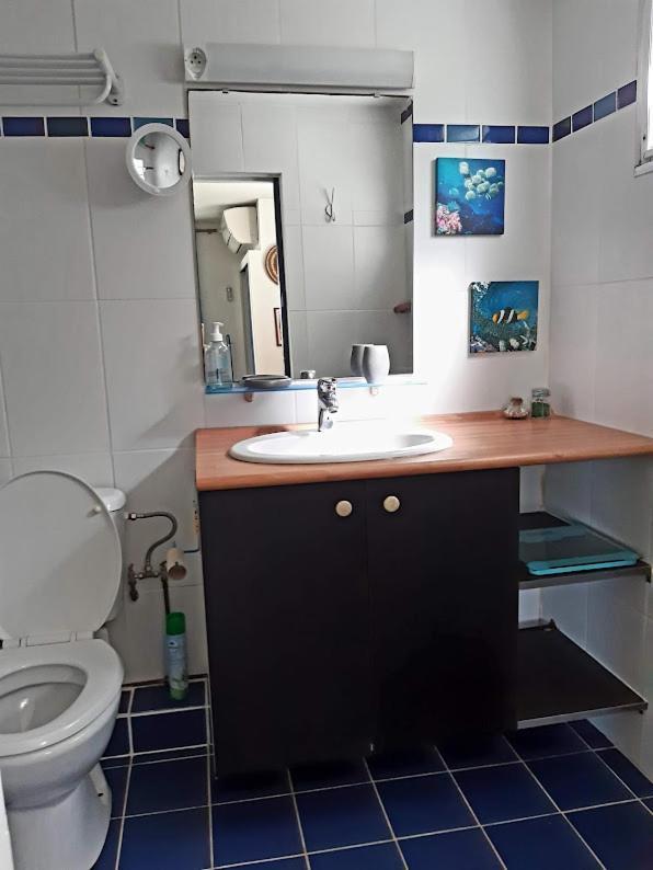 Apartamento Sainte-Luce 2 T1 Hibiscus Et Colibris Exterior foto